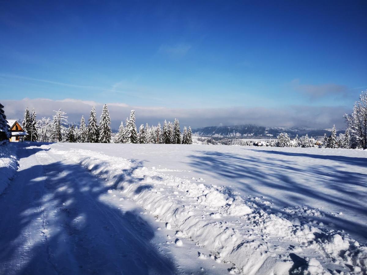 Villa Heidi Zakopane Esterno foto