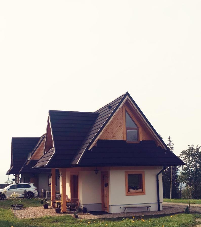 Villa Heidi Zakopane Esterno foto