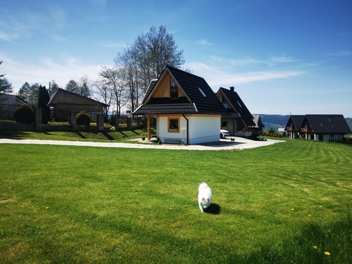 Villa Heidi Zakopane Esterno foto